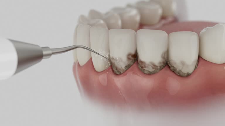 Reliable Dental contractor in Midway, GA by Dentist Open Now